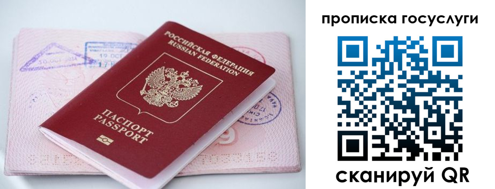 прописка законно в Белокурихе